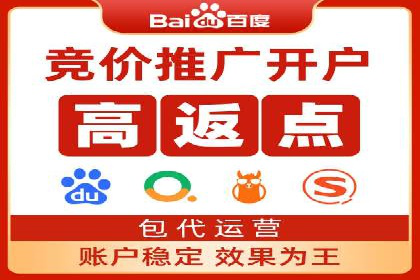 百度推广技巧分享：成功案例解析