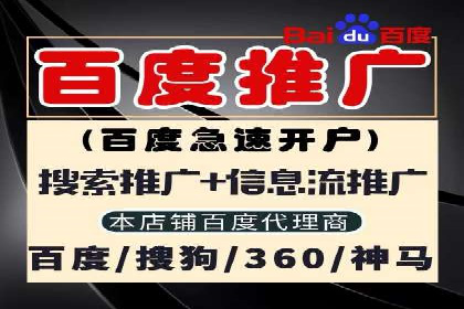 某某sem代运营公司：打造高效广告投放的秘诀